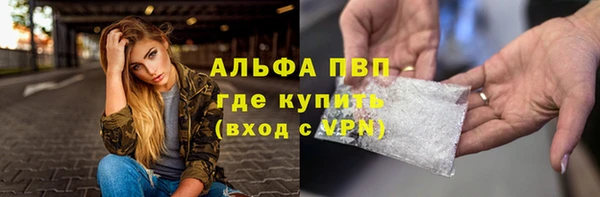 СК Горняк