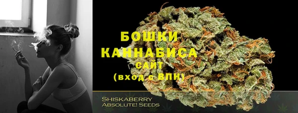 СК Горняк